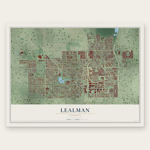 Lealman, Florida map print, the full design
