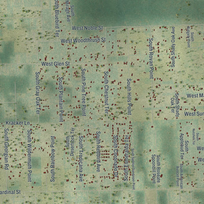Close-up of the map of Lecanto, Florida print showing street and building detail