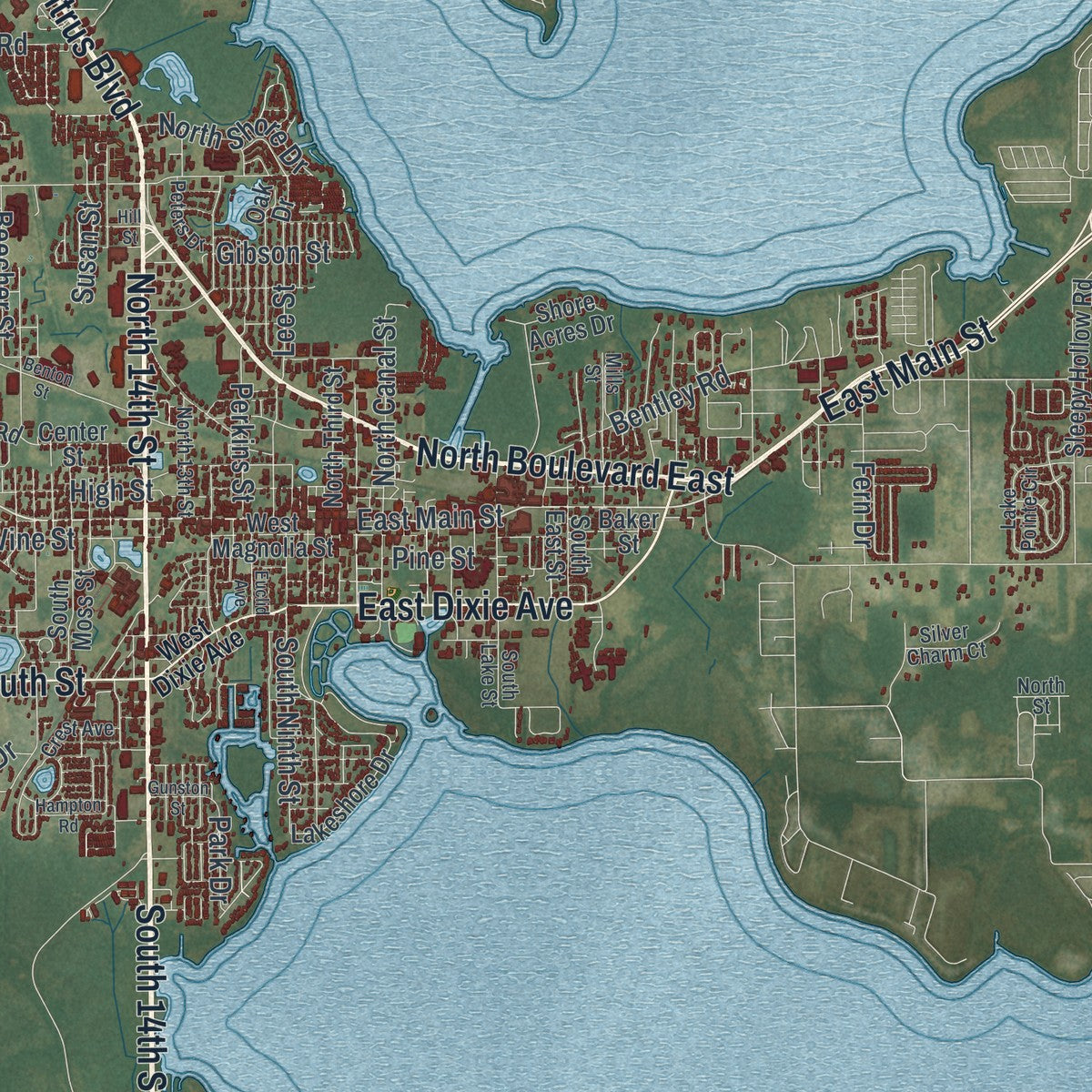 Close-up 1 of the Leesburg, Florida map artwork