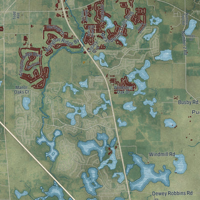 Close-up 2 of the Leesburg, Florida map artwork