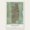 Little Haiti, Florida map print, the full design