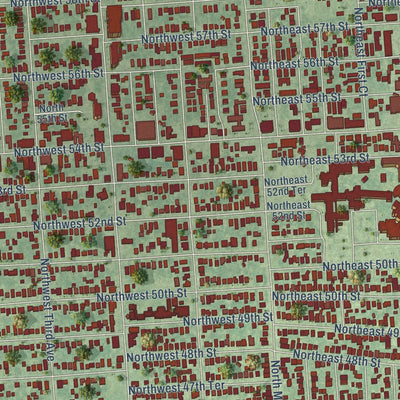 Close-up of the map of Little Haiti, Florida print showing street and building detail