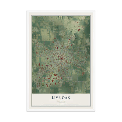 Live Oak, Florida map print, 12" x 18" W/ White Ayous Wood Frame mockup