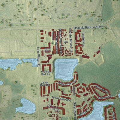 Close-up of the map of Loughman, Florida print showing street and building detail