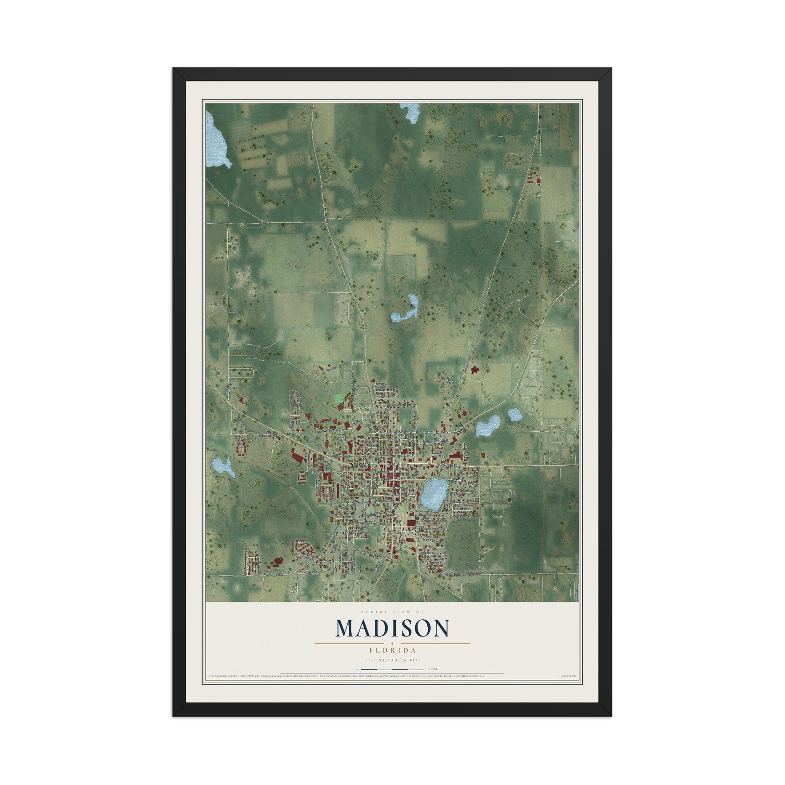 Madison, Florida map print, 12" x 18" W/ Black Ayous Wood Frame mockup