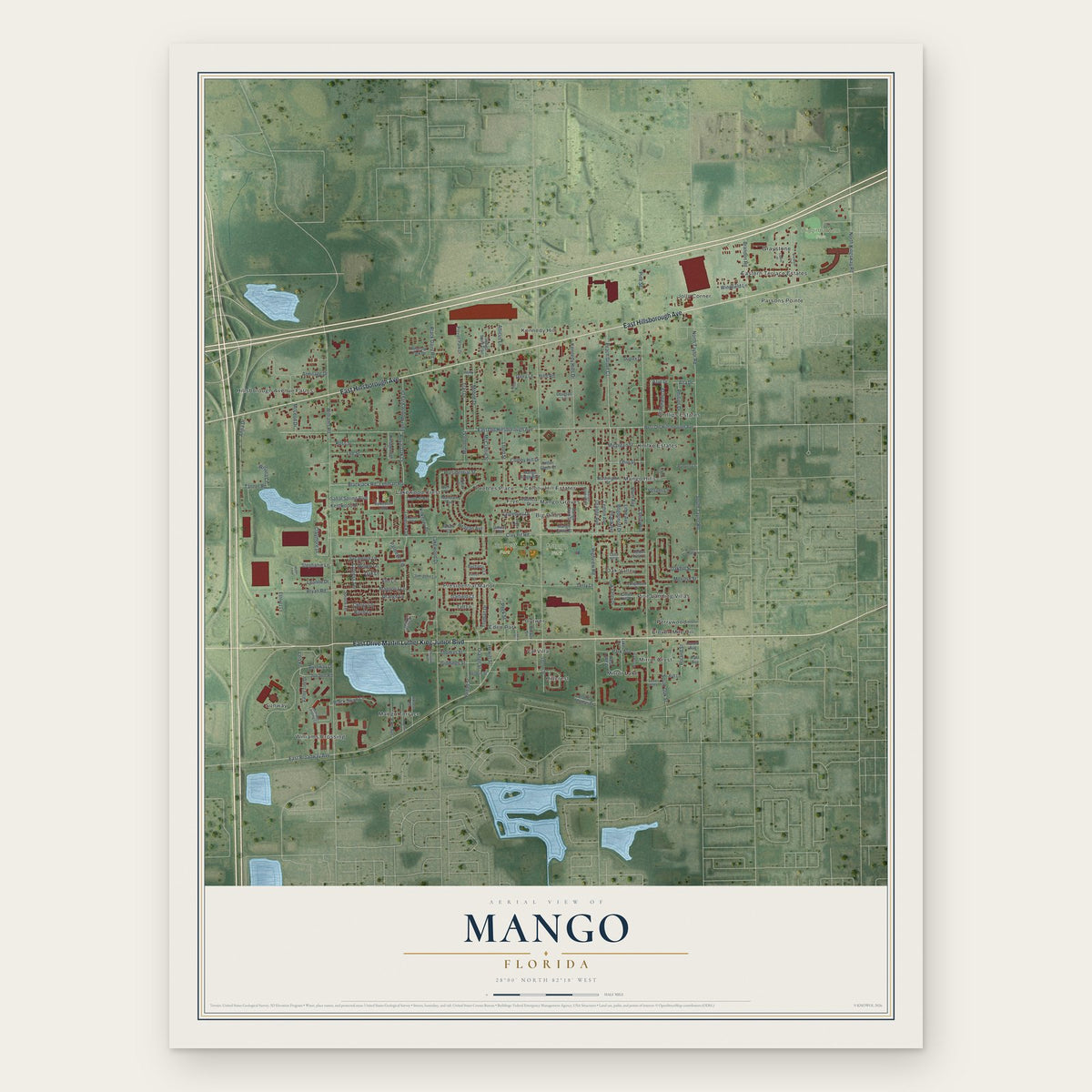 Mango, Florida map print, the full design