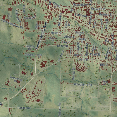 Close-up 1 of the Marianna, Florida map artwork