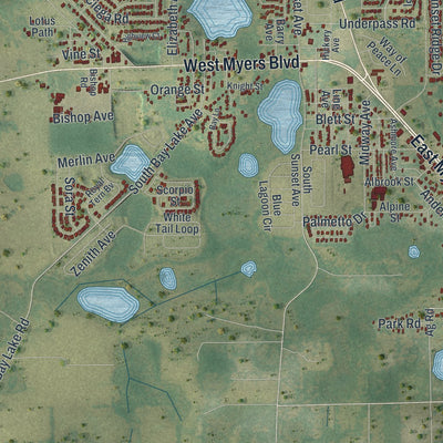 Close-up 1 of the Mascotte, Florida map artwork