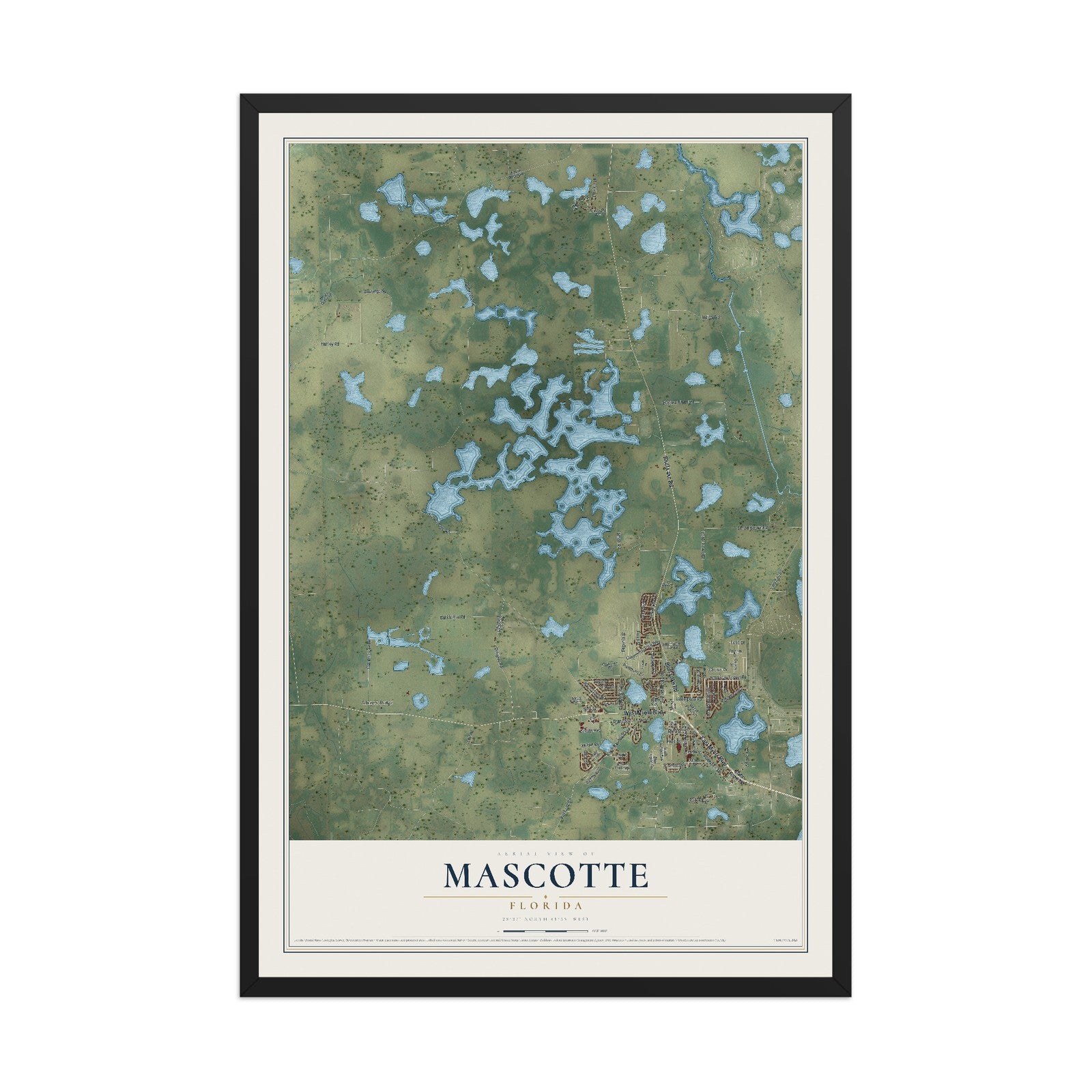 Mascotte, Florida map print, 12" x 18" W/ Black Ayous Wood Frame mockup