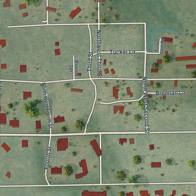 Close-up 2 of the McIntosh, Florida map artwork