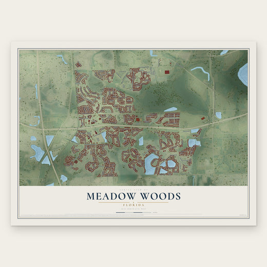 Meadow Woods, Florida map print, the full design