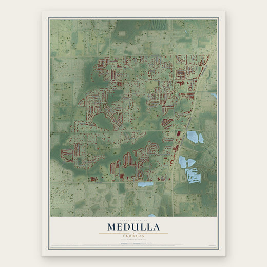 Medulla, Florida map print, the full design