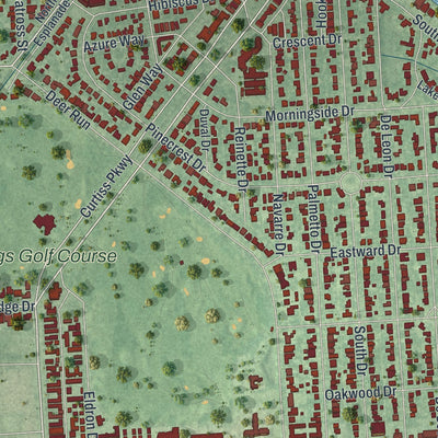 Close-up 2 of the Miami Springs, Florida map artwork