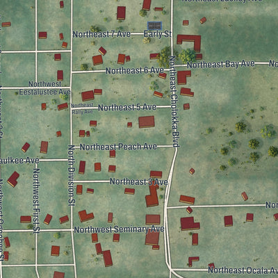 Close-up 1 of the Micanopy, Florida map artwork