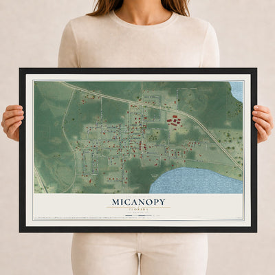 Micanopy, Florida map print, 12" x 18" W/ Black Ayous Wood Frame mockup