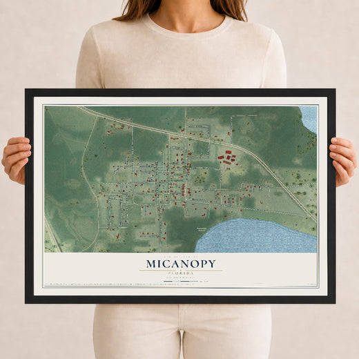 Map of Micanopy, Florida, 12 x 18 inch print in a black wood frame