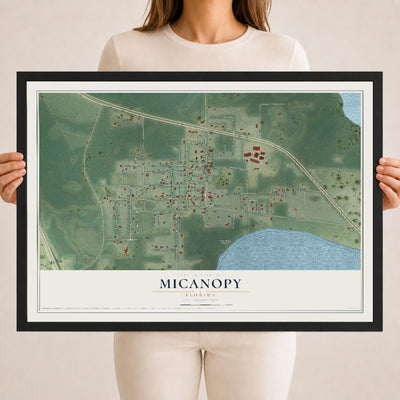 Micanopy, Florida map print, 18" x 24" W/ Black Ayous Wood Frame mockup