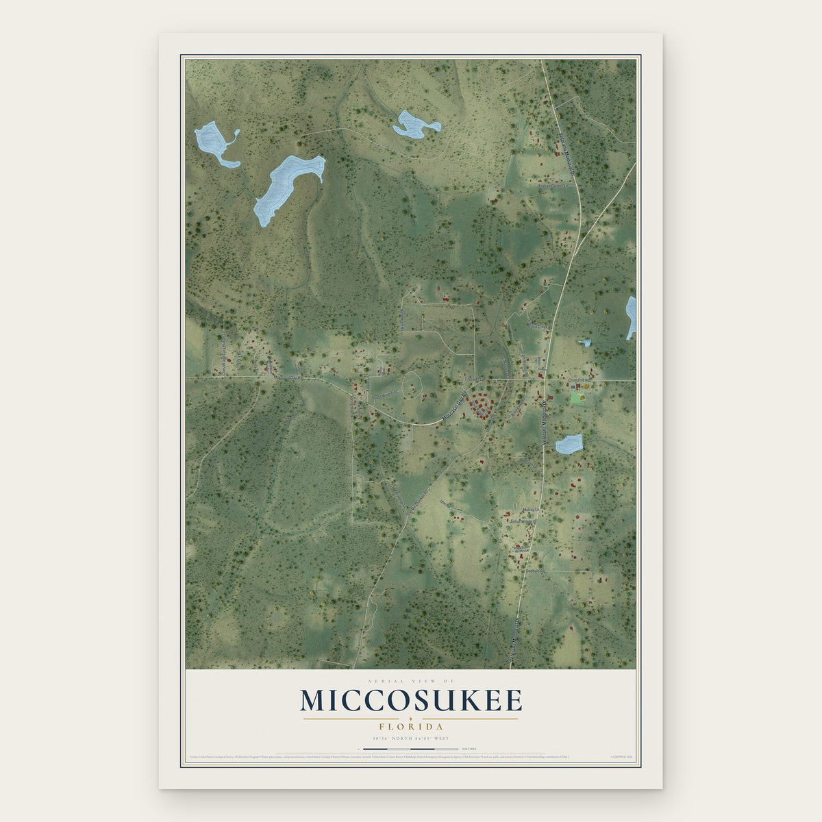 Miccosukee, Florida map print, the full design
