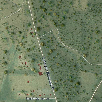 Close-up of the map of Miccosukee, Florida print showing street and building detail