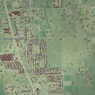 Close-up of the map of Mims, Florida print showing street and building detail
