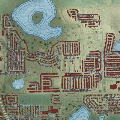 Close-up 1 of the Minneola, Florida map artwork