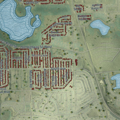 Close-up 2 of the Minneola, Florida map artwork