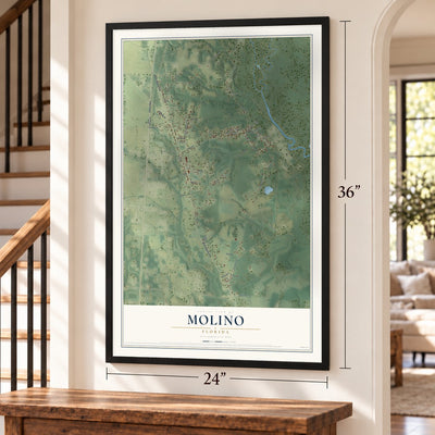 Molino, Florida map, 24 x 36 inch print in a black frame by a staircase