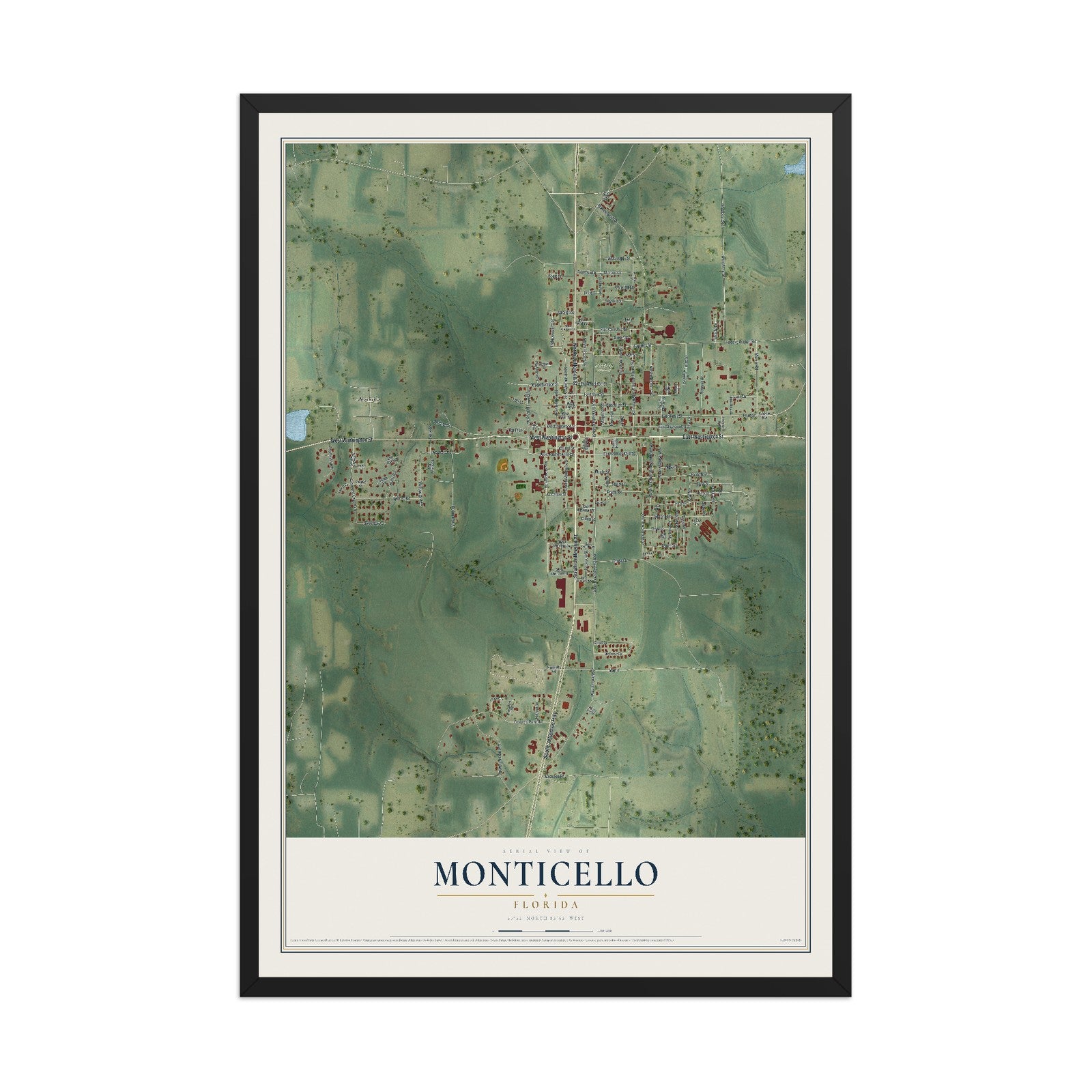 Monticello, Florida map print, 12" x 18" W/ Black Ayous Wood Frame mockup