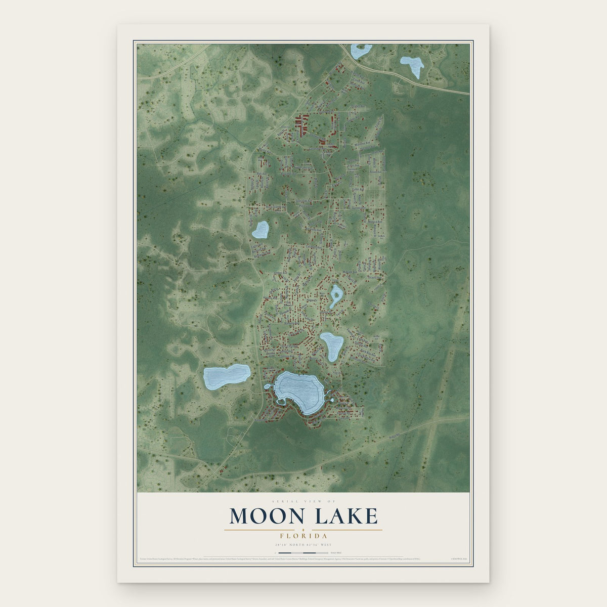 Moon Lake, Florida map print, the full design