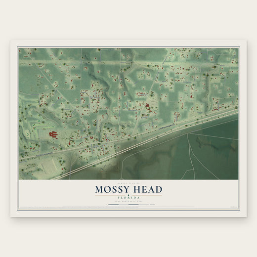 Mossy Head, Florida map print, the full design
