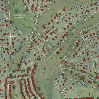 Close-up of the map of Mount Plymouth, Florida print showing street and building detail
