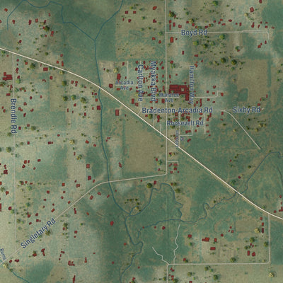 Close-up of the map of Myakka City, Florida print showing street and building detail