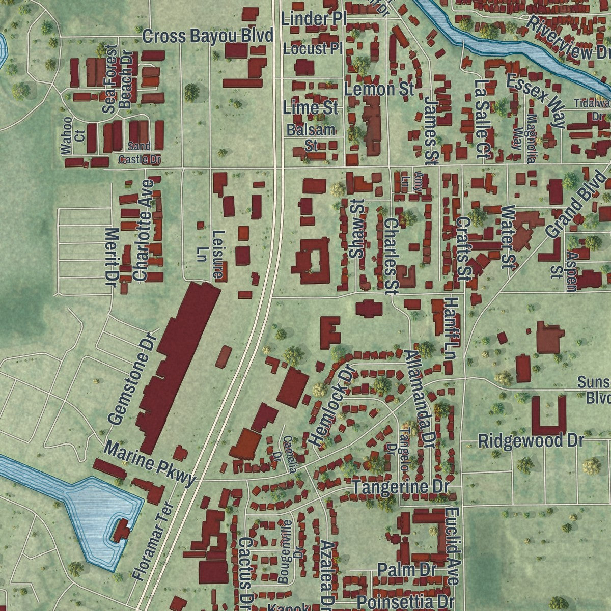 Close-up 2 of the New Port Richey, Florida map artwork
