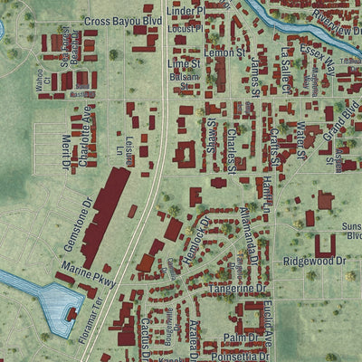 Close-up 2 of the New Port Richey, Florida map artwork