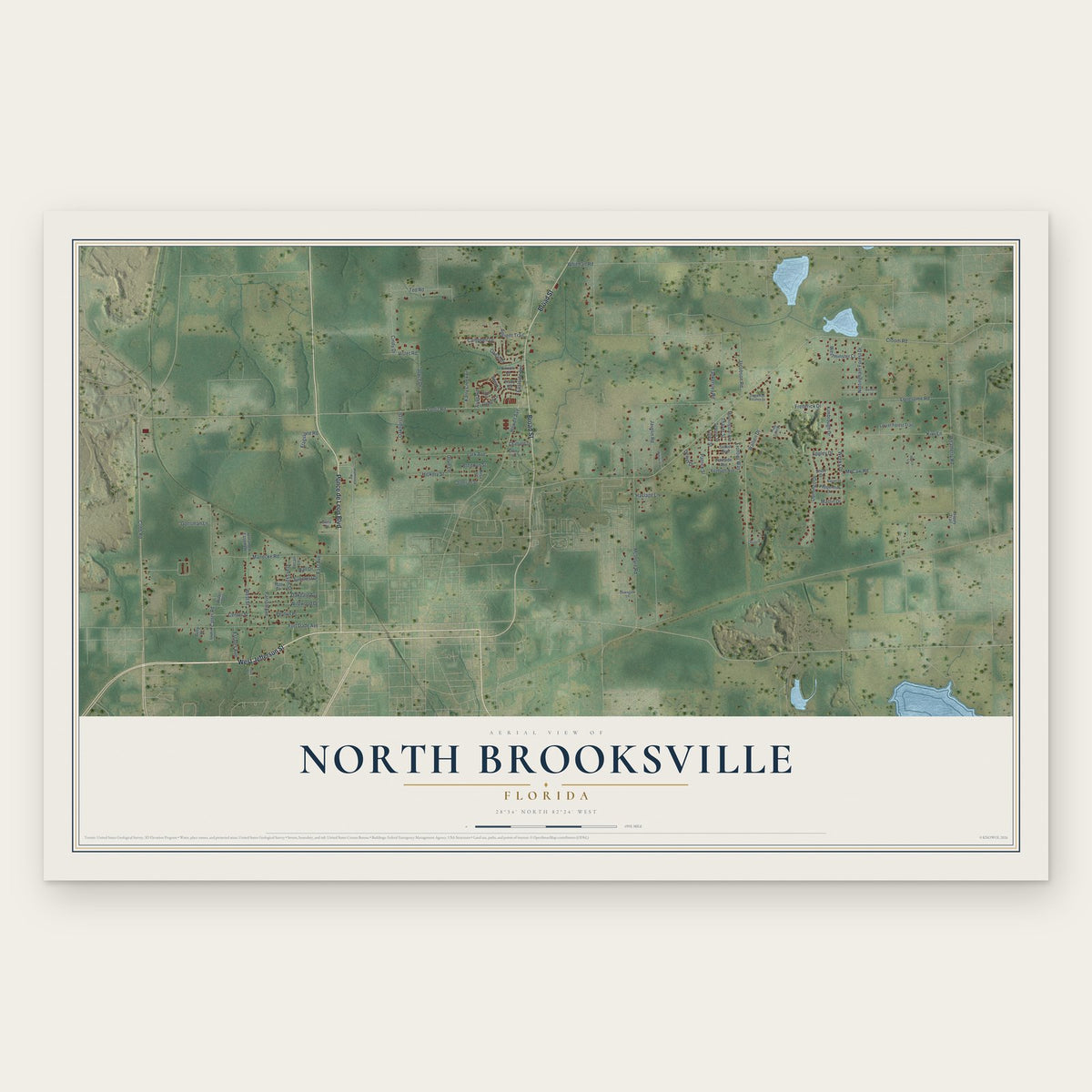 North Brooksville, Florida map print, the full design
