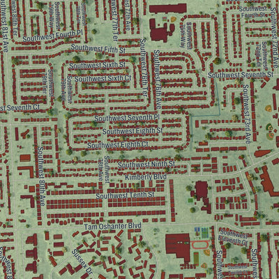 Close-up 2 of the North Lauderdale, Florida map artwork