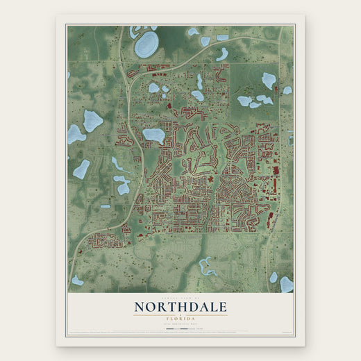 Northdale, Florida map print, the full design