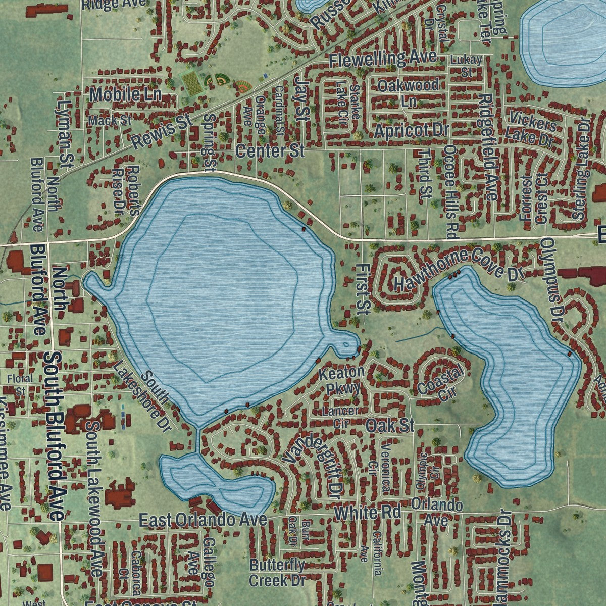 Close-up 1 of the Ocoee, Florida map artwork