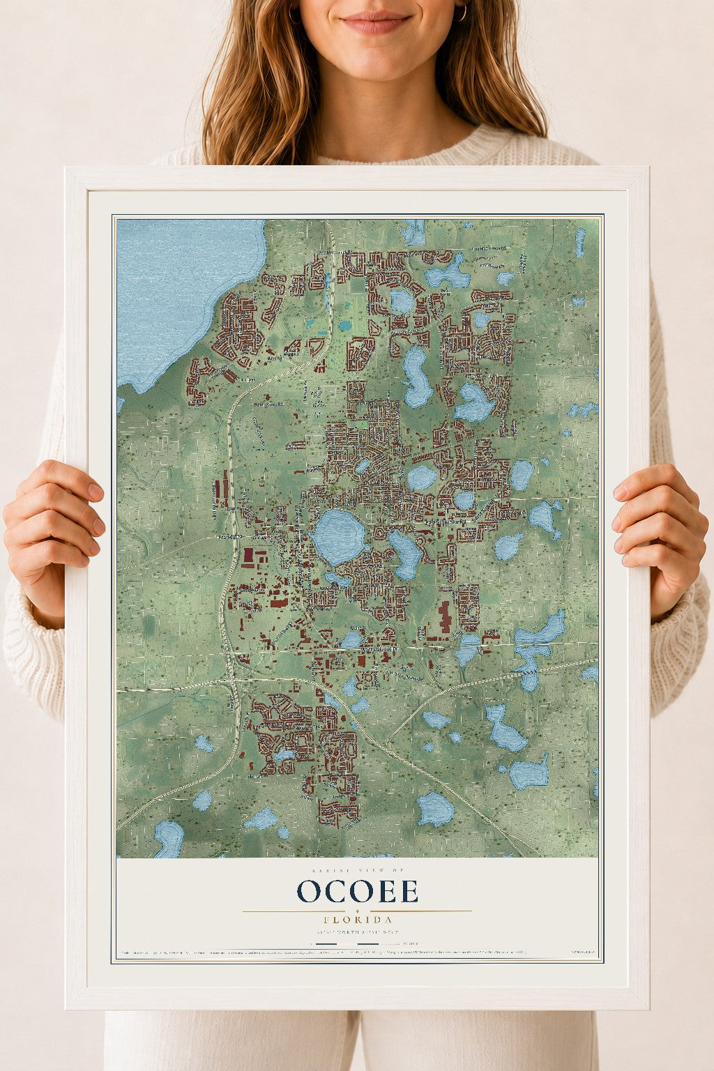 Ocoee, Florida map print, 18" x 24" W/ White Ayous Wood Frame mockup