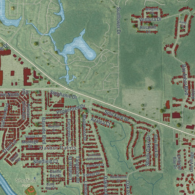 Close-up 2 of the Oldsmar, Florida map artwork