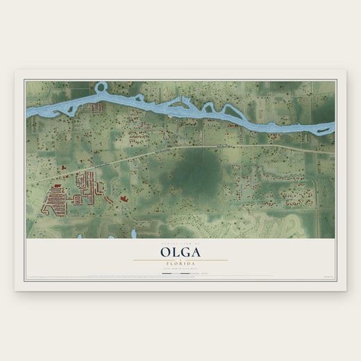 Olga, Florida map print, the full design