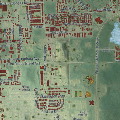 Close-up 2 of the Orange City, Florida map artwork