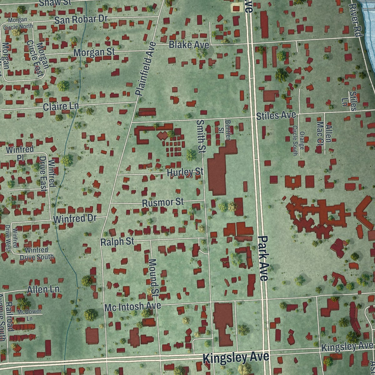 Close-up 2 of the Orange Park, Florida map artwork