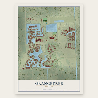 Orangetree, Florida map print, the full design
