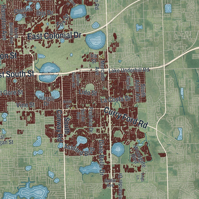 Close-up 2 of the Orlando, Florida map artwork