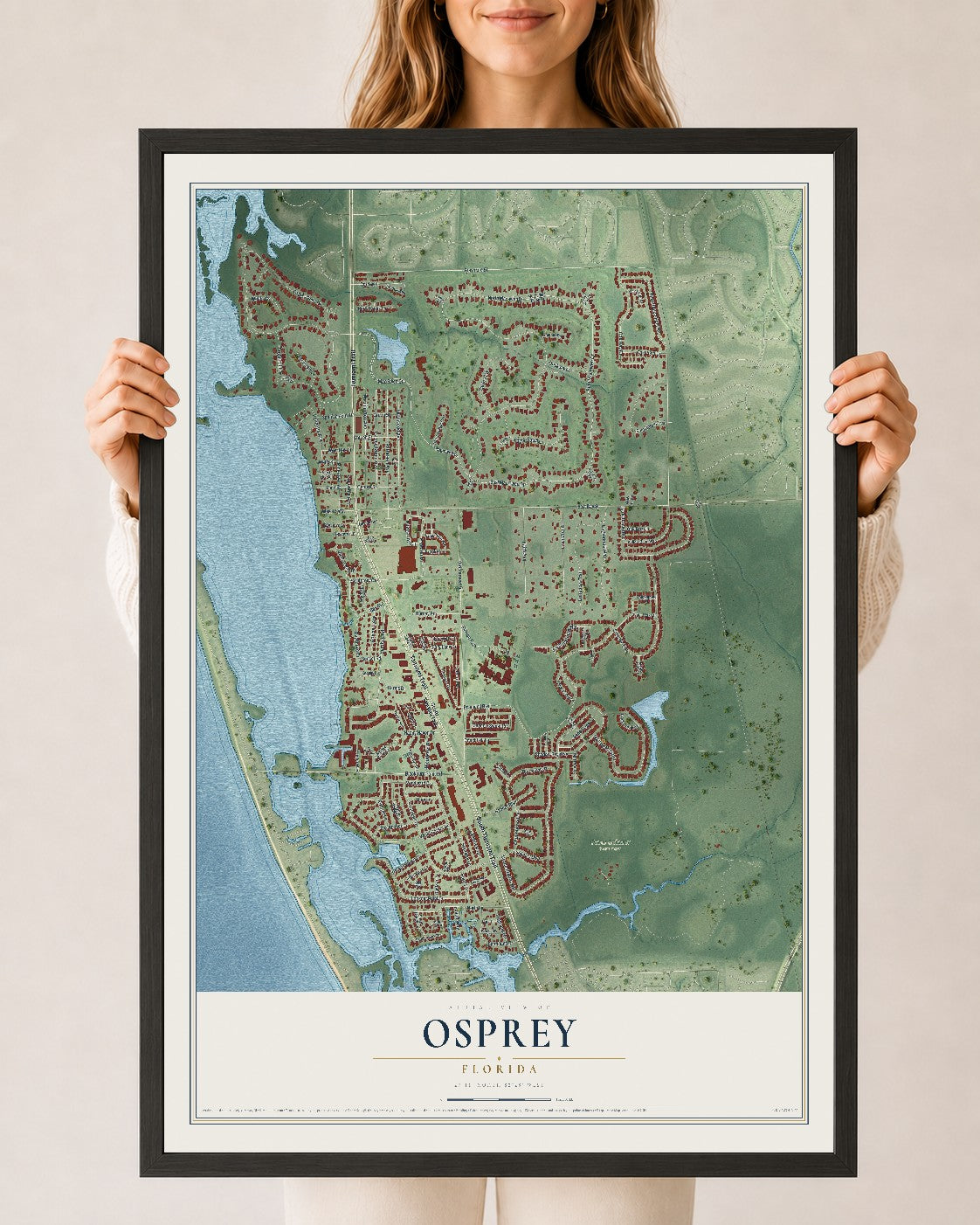 Osprey, Florida map print, 24" x 36" W/ Black Ayous Wood Frame mockup