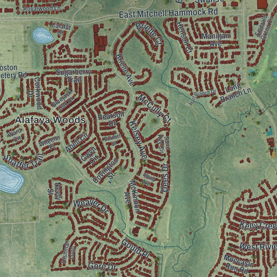 Close-up 1 of the Oviedo, Florida map artwork