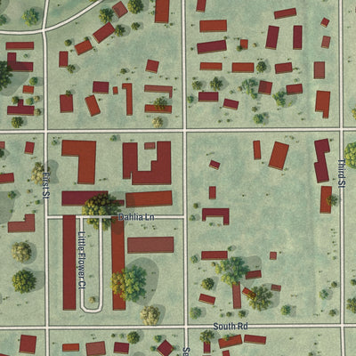 Close-up of the map of Page Park, Florida print showing street and building detail
