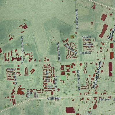 Close-up 2 of the Palatka, Florida map artwork