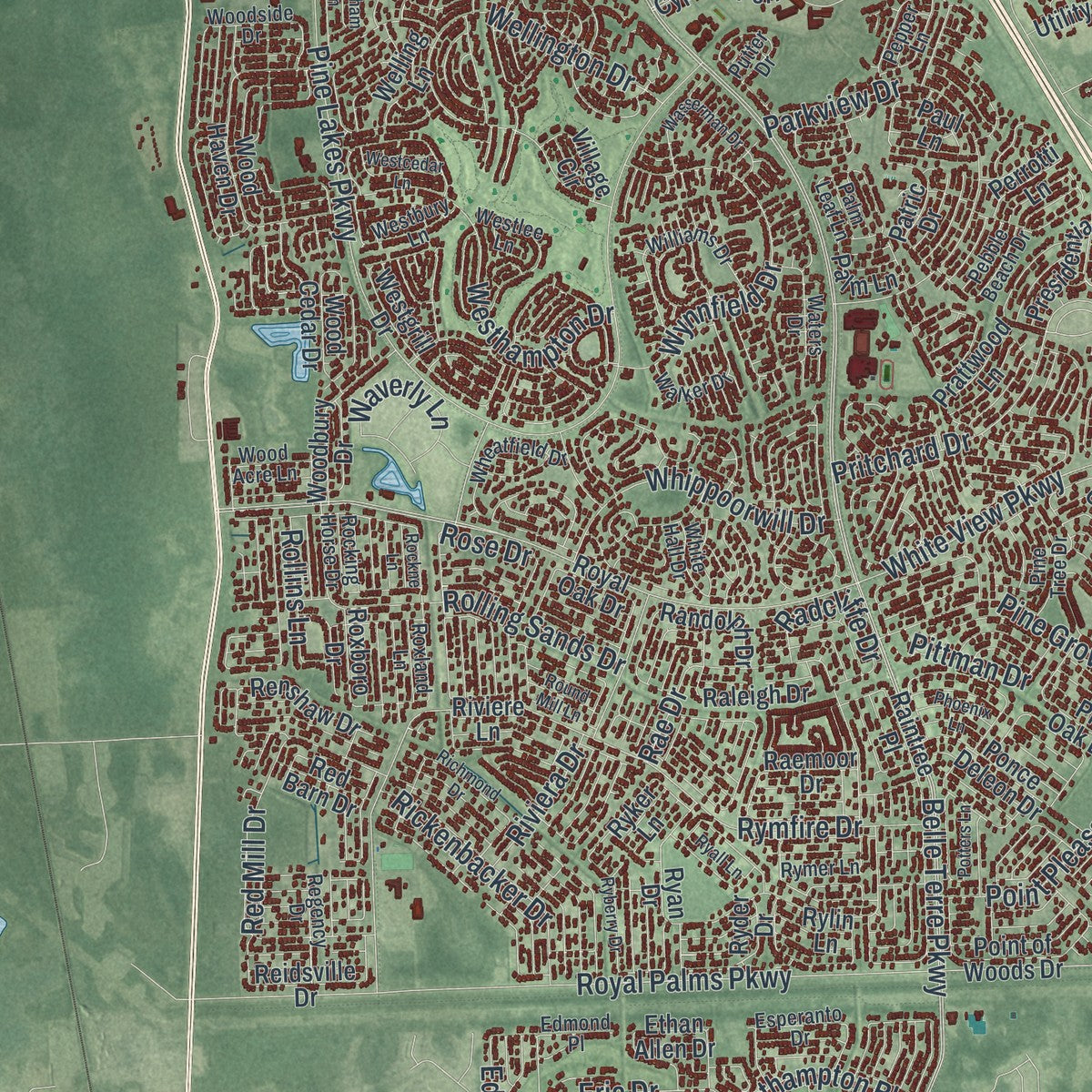 Close-up 1 of the Palm Coast, Florida map artwork